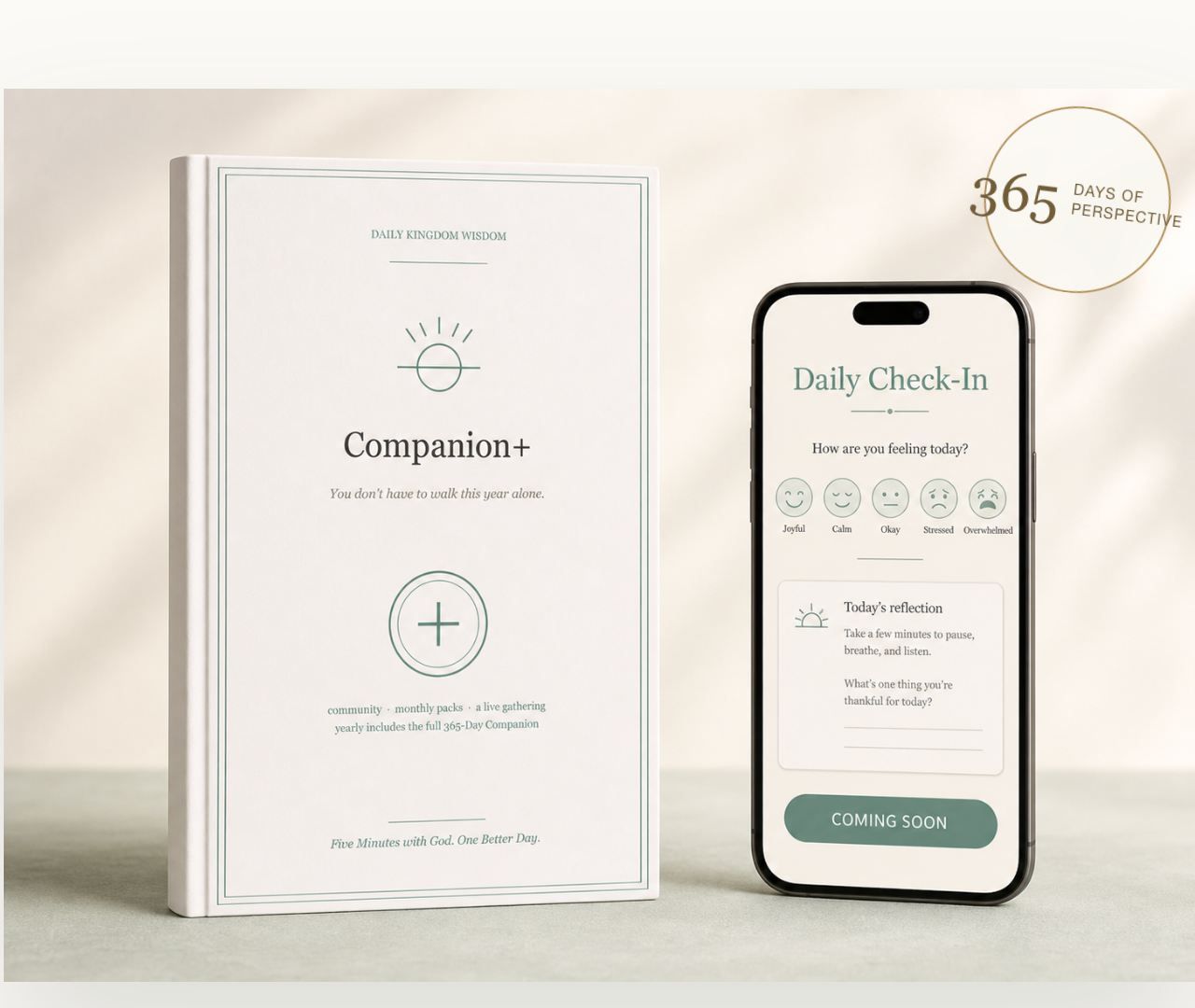 The 4:13 Project book and Daily Check-In mobile experience